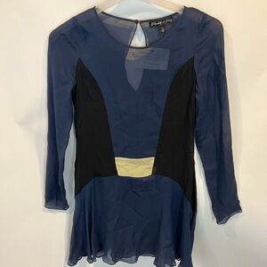 Elizabeth & James Silk Semi Sheer Colorblock Tunic